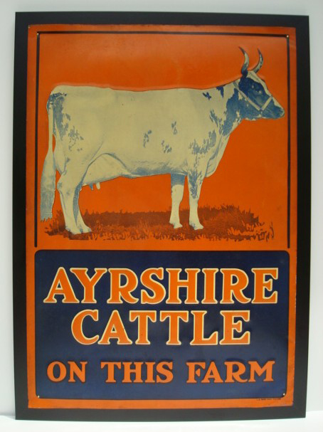 syrshire cattle sign, American Art Antiques